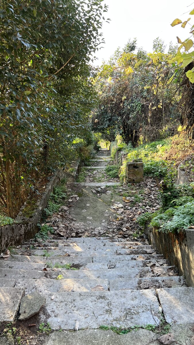 Лестница к санаторию