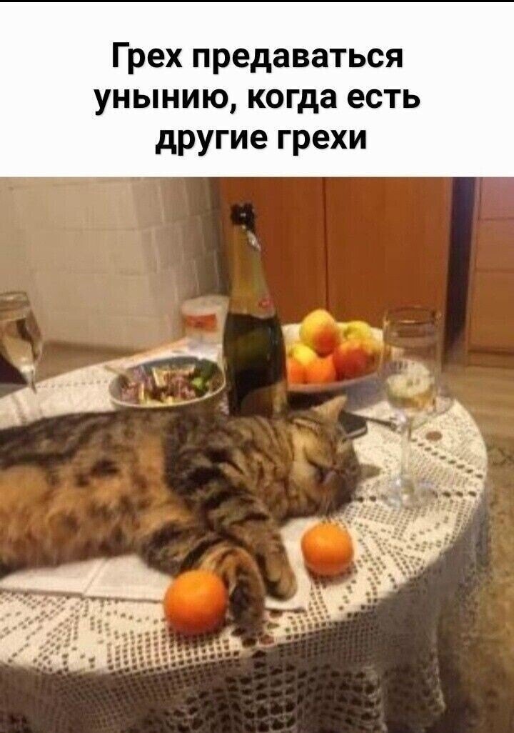 иллюстрация из яндекс картинки