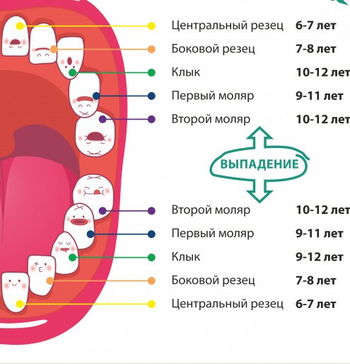 Молочные зубы маленькие