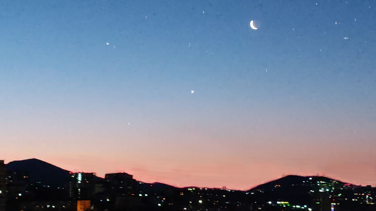 Ранним утром первого января утомлённый город крепко спал. Тихое утро казалось ещё более тихим после ночного грохота петард и фейерверков. Кошки, с полуночи забившись по своим укромным уголкам, выходить не спешили. Я насыпала корм в миски и выглянула в окно: не видно ни машин на шоссе, ни пешеходов на тротуарах.
Восходящее Солнце медленно, будто с опаской, выползая из-за горизонта, совершенно не торопилось окрашивать посветлевшее небо в яркие краски утренней зари. В жемчужной дымке нежно-карамельного небосвода гасли последние звёзды… Здравствуй, Новый Год! 