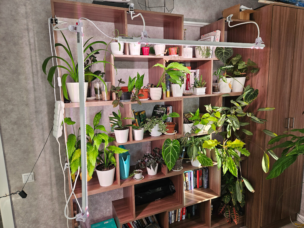 Вот мой цветочный стеллаж