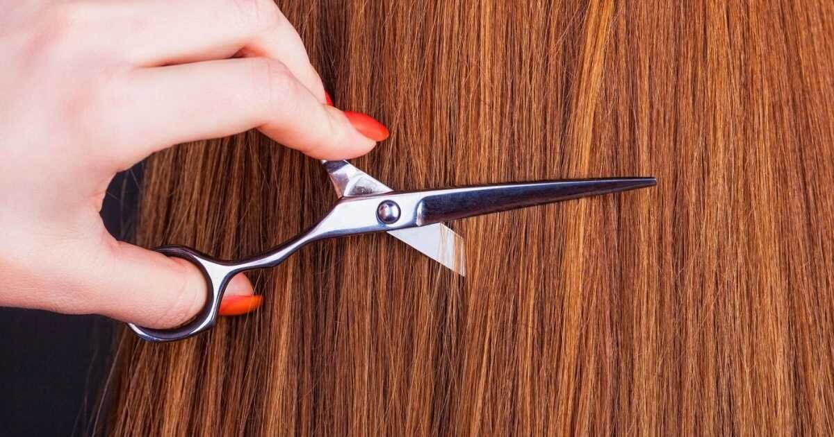Когда можно подстричь волосы в апреле 2024. Волосы и ножницы. Ножницы парикмахера. Ножницы режут волосы. Полировка волос ножницами.