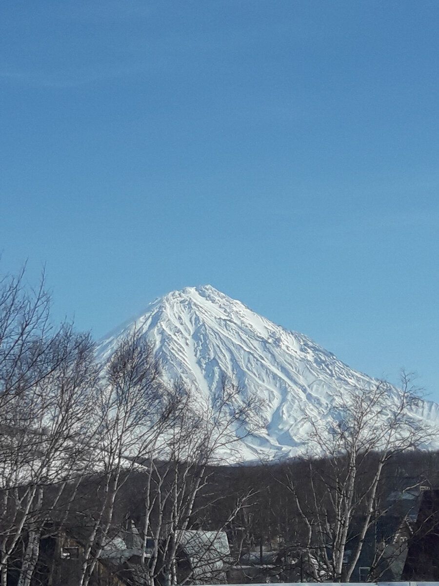 Вид на Корякский вулкан (Камчатский край).