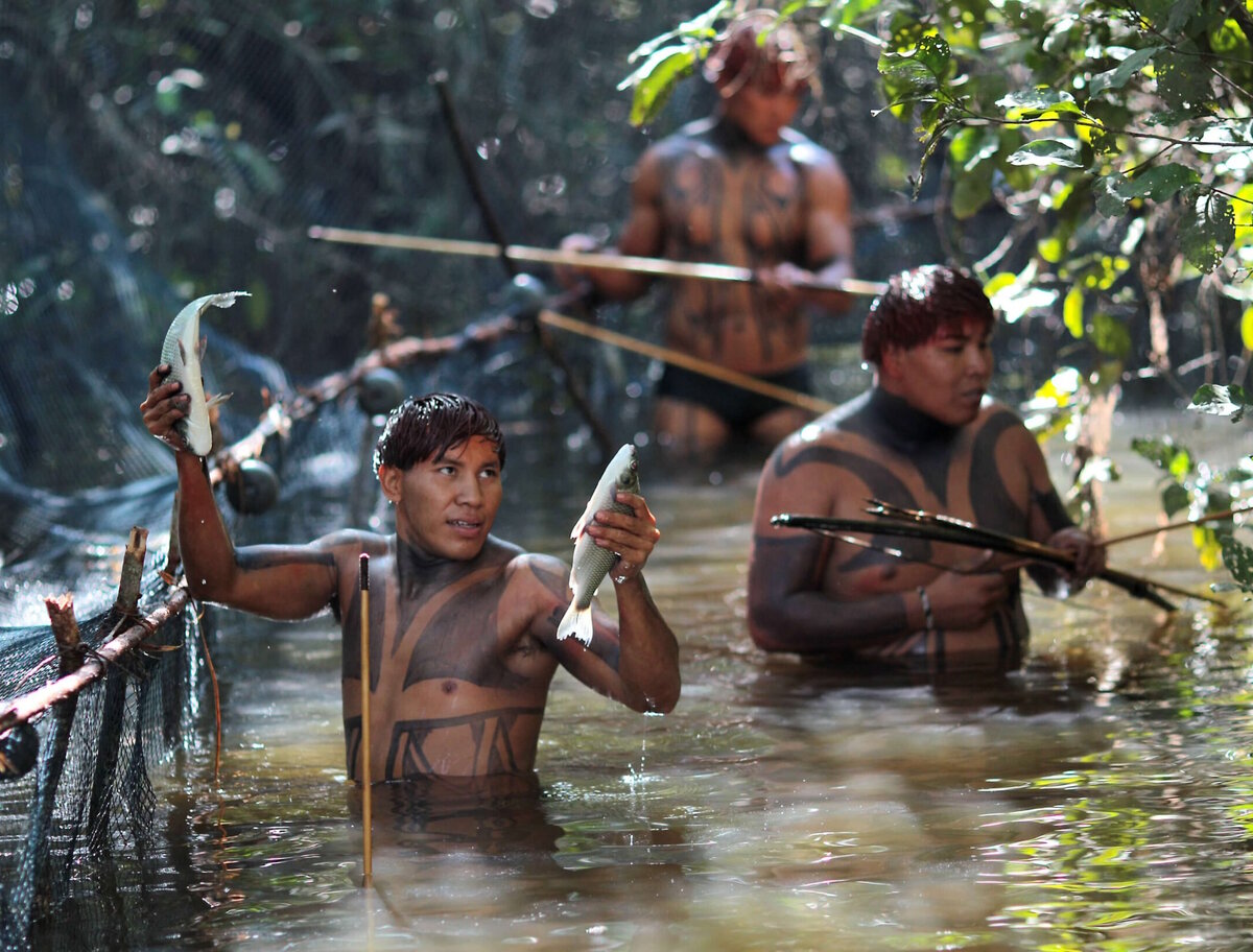 Жители Амазонии поделились удивительной историей.
Источник фото: https://sila-vody.ru/images/wp-content/uploads/2020/04/zhiteli-i-mestnye-plemena-scaled.jpg