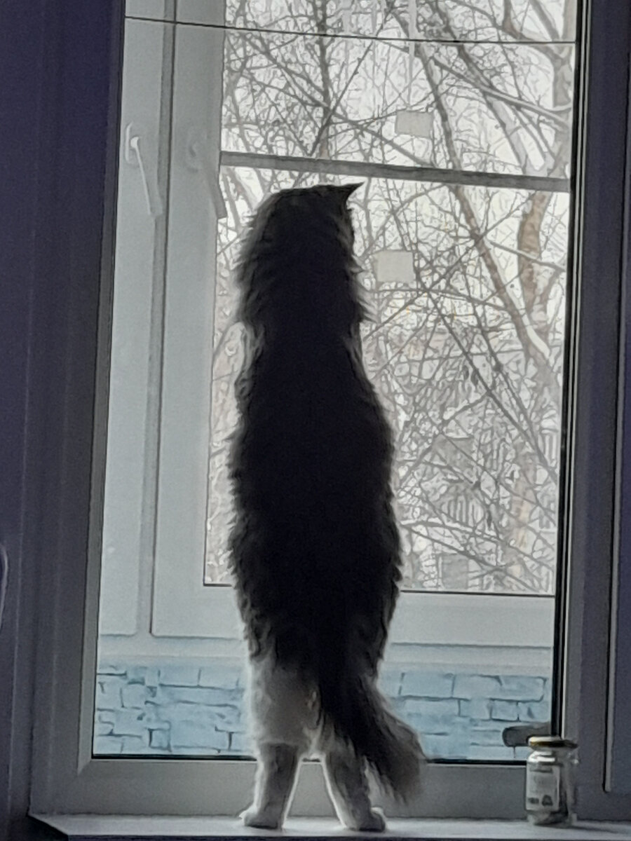 Из личного архива. Наш домашний питомец