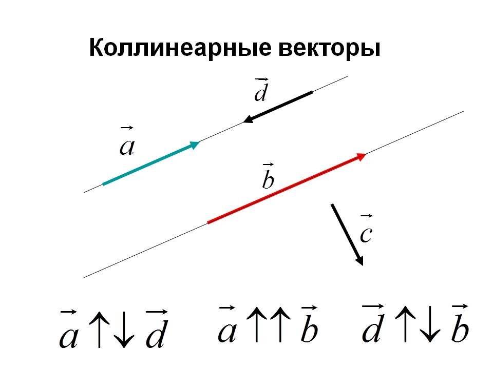 Даны вектора найти сумму данных векторов