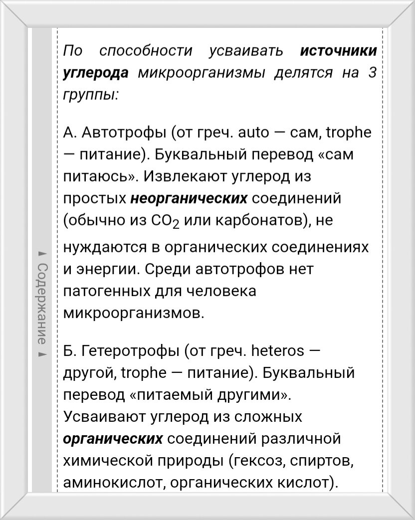 Как мы с продавцом в садовом магазине насчет бактерий поспорили | Цветочная  няша | Дзен