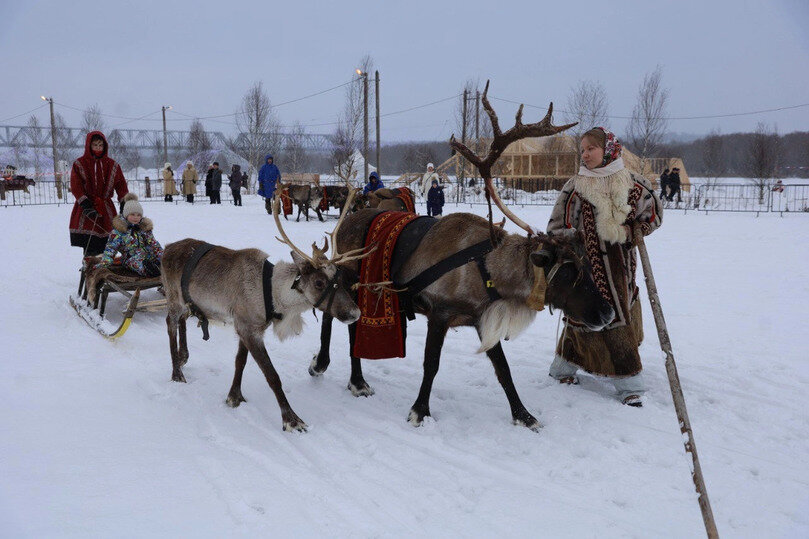     Фото: пресс-служба администрации г.о. Серпухов