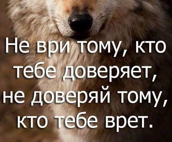источник - интрнт