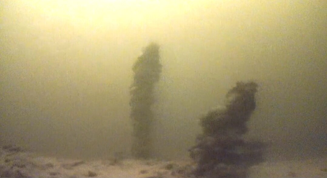 Коряги на дне