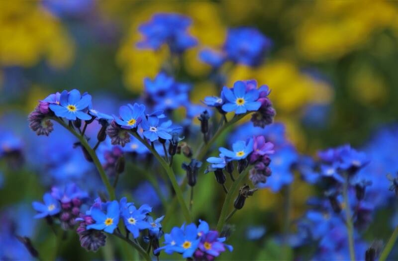 дети выросли, того и гляди внуки пойдут