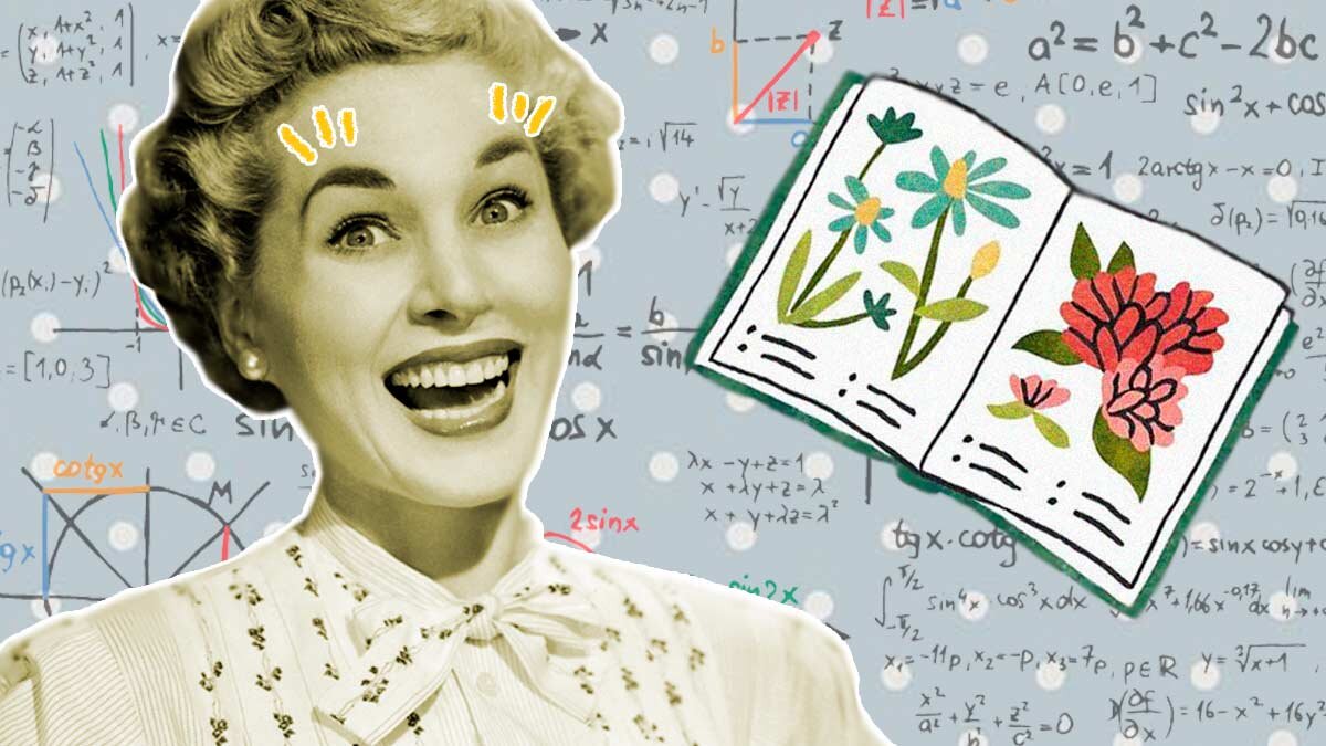 Фото из свободных источников