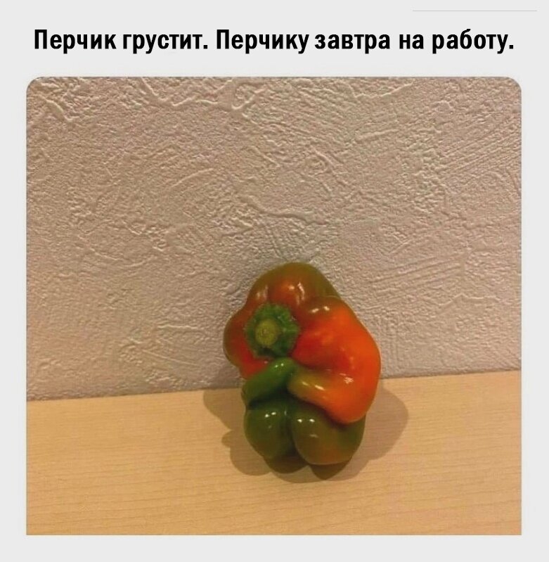 И волки сыты, и овцы целы... | Мир@вокруг | Дзен