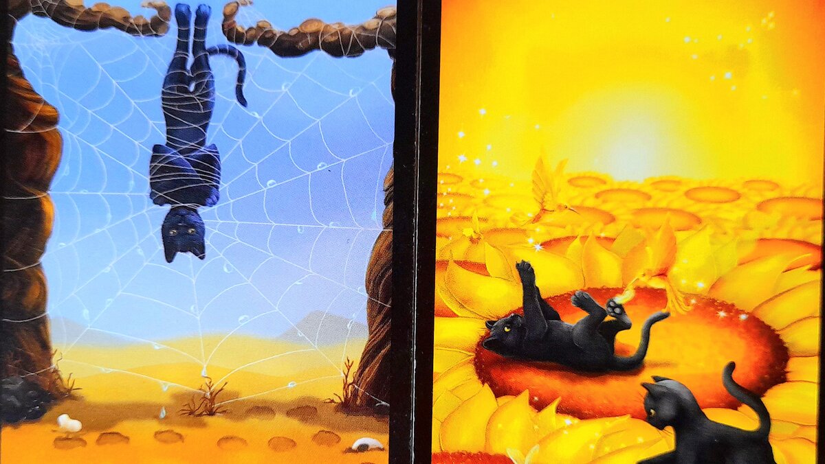 Перестань убеждать себя в том, что черное - это белое, пусть остается черным, скорее всего, так они и должно быть