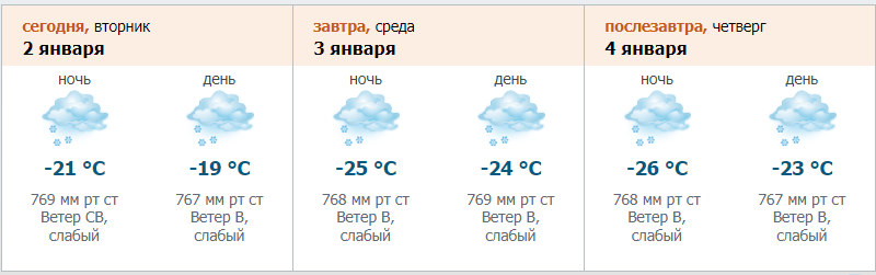    Прогноз на 2-4 января 2024 года в Петербурге. Автор фото: Северо-Западное бюро по гидрометеорологии