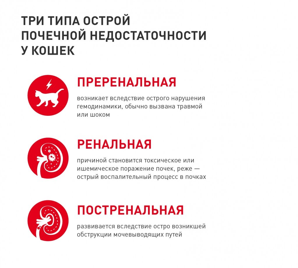 Между различиями животными. Между различиями животными