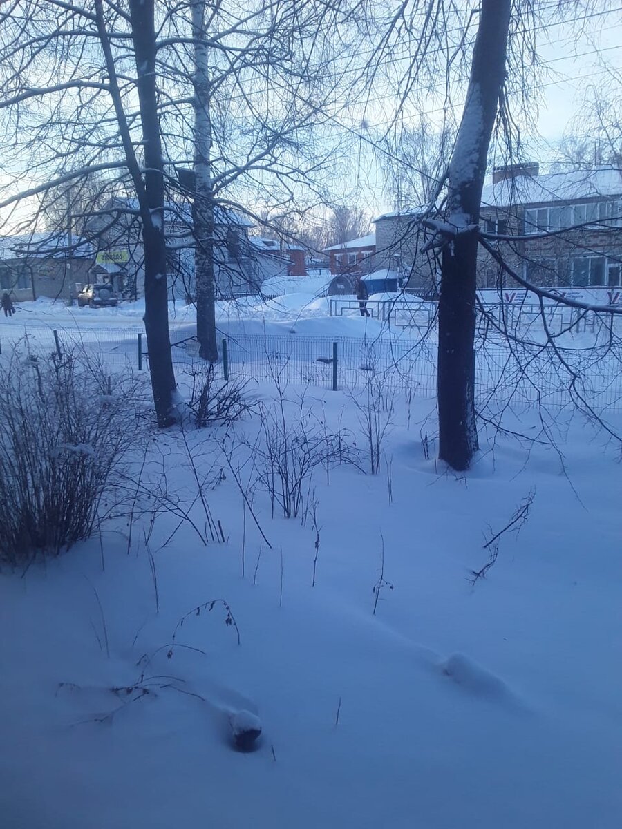 Фото из окна.❄❄❄