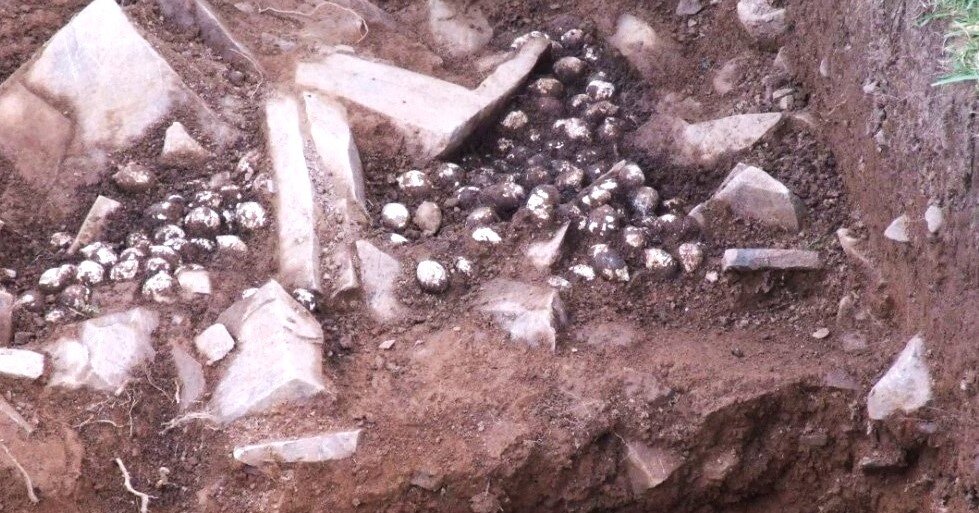 Свинцовые пули, найденные при раскопках в Шотландии.