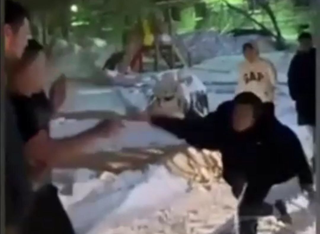 Фото: скриншот видео