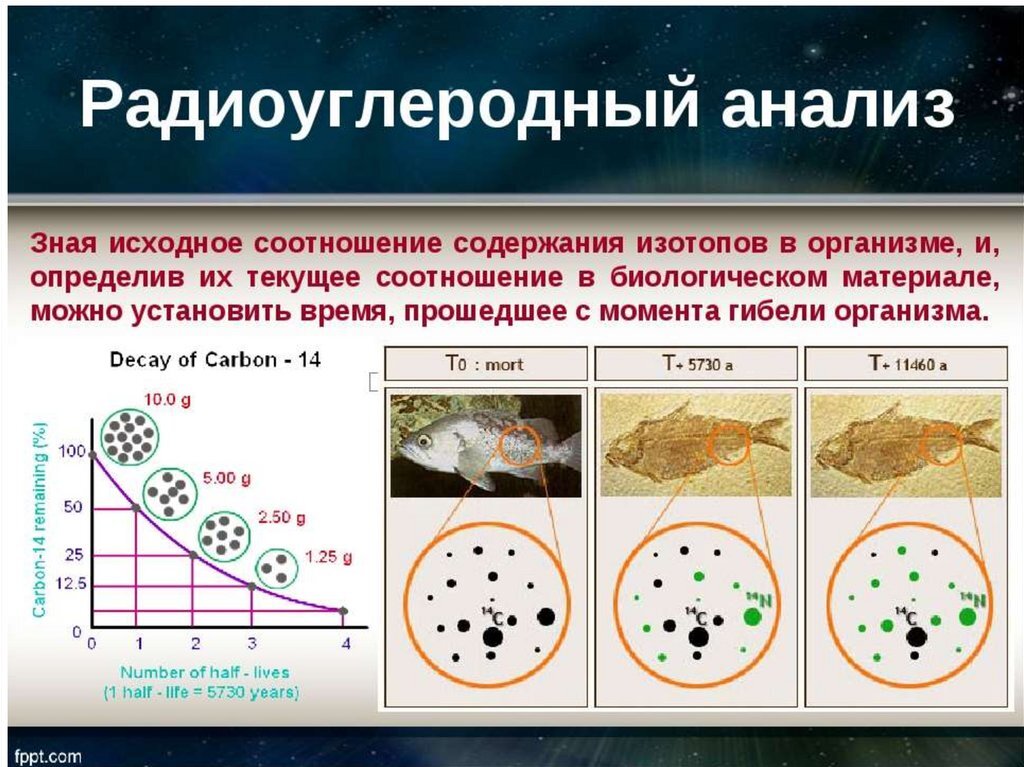 На основе знаний о строении