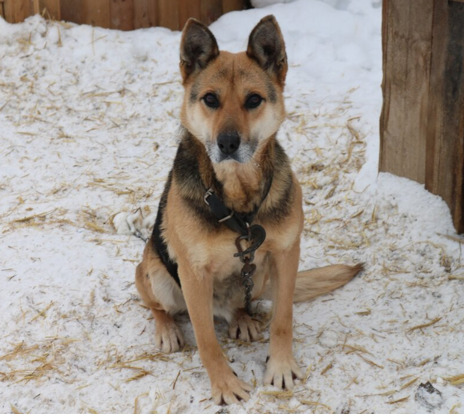 Учу просто. Смешные анекдоты на белом фоне. Чему должна учить школа. Учиться учить и учиться. Не учите физику и жизнь будет наполнена волшебством.