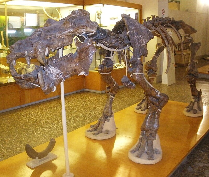 Если не знать, что это скелет бегемота, можно подумать, что перед нами макет инопланетного монстра.