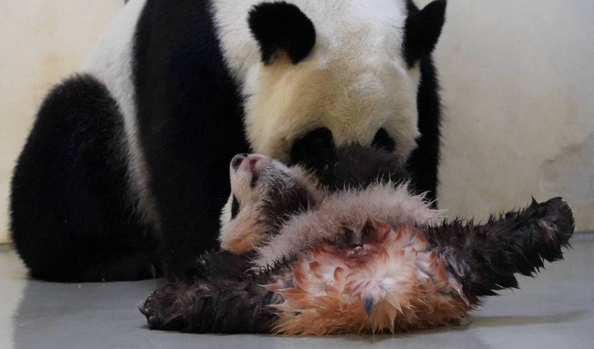    Фото: Светлана Акулова / Telegram