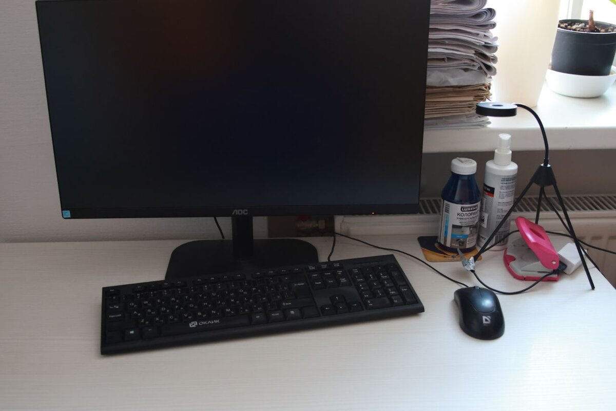    Фото: Baltphoto/Вероника Овсянникова