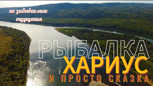 Осенняя рыбалка, отличный хариус, жарим, коптим