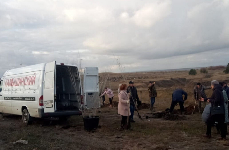    Создание древесно-кустарниковой части Аллеи Славы на воинском захоронении в Камышине