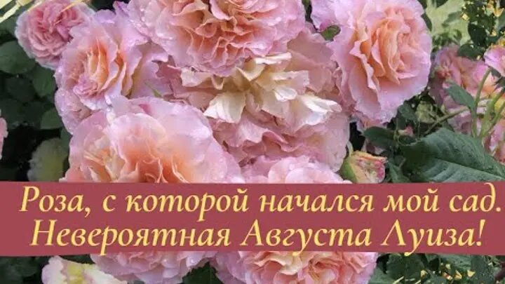 Есть такое видео на канале у Галины