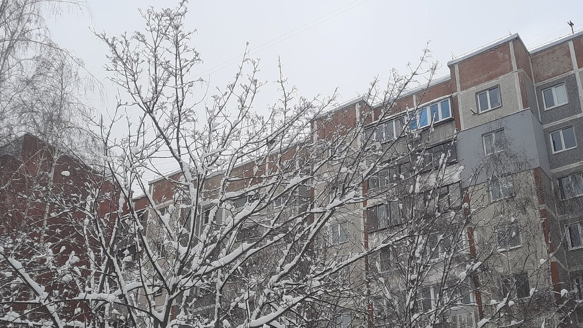    В Курской области объявлено штормовое предупреждение из-за аномально холодной погоды