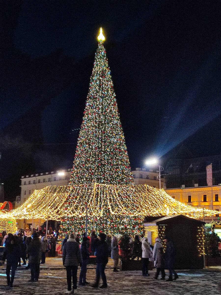 Фото автора.