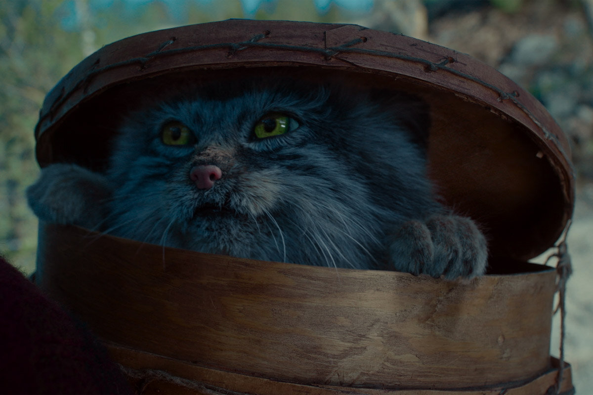 Сказка книжка по щучьему веленью. По щучьему веленью автор. Книжка 5 сказок по щучьему веленью 27568 фламинго. По щучьему веленью современник. Автор сказки по щучьему велению.