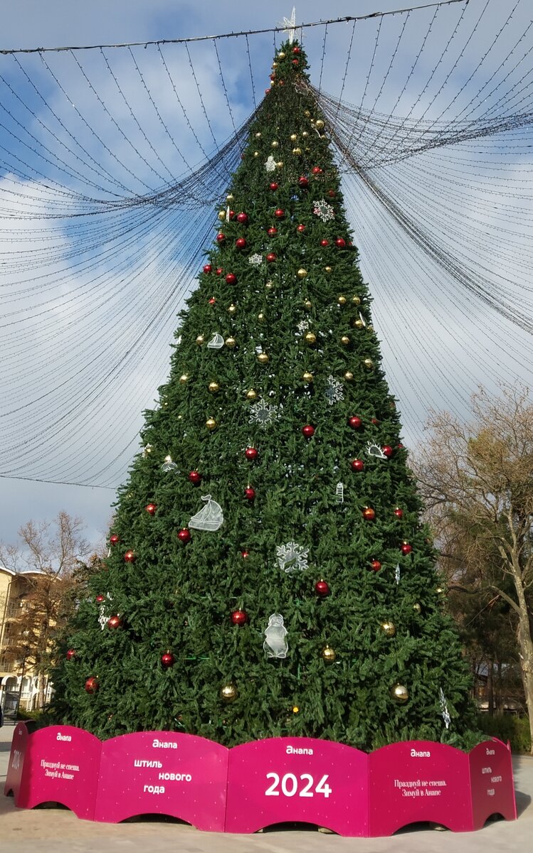 Фото автора публикации 