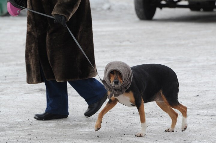 ФОТО: Владимир ВЕЛЕНГУРИН