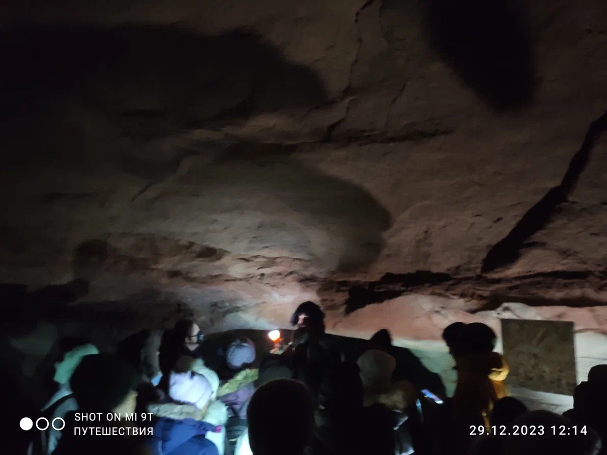 Верни мышку. Спасибо хозяйка прикол. Ишь мышь. К чему снится убивать белых мышей. Верни мышку.