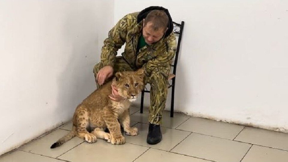    У Симбы ежедневные прогулки с Олегом Зубковым. Фото: olegzubkov68