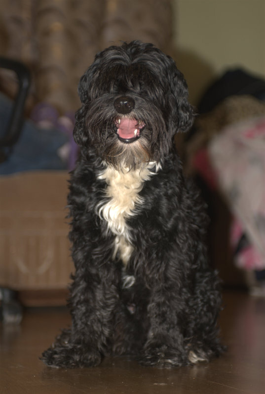 Фотография взята из интернета для наглядности