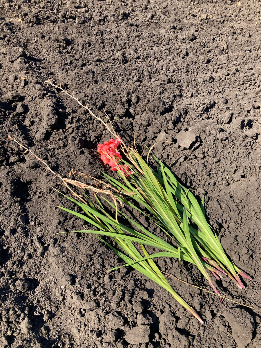 Белгородская область, 2023 г.