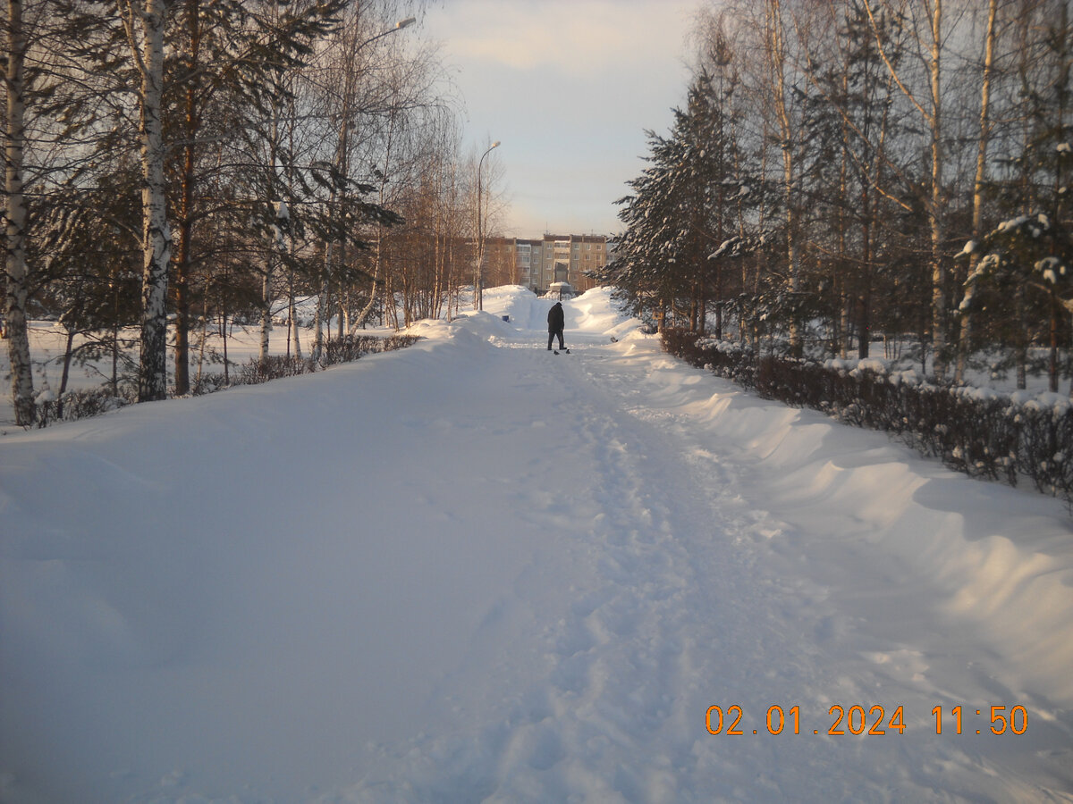 Далекий нижний