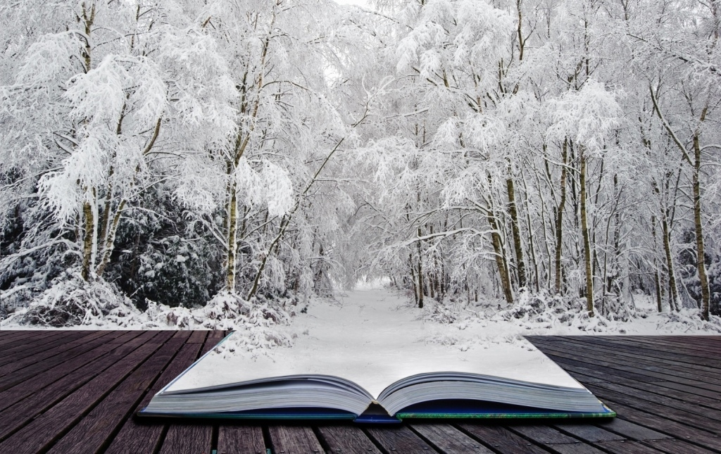 Фото из открытых источников интернета