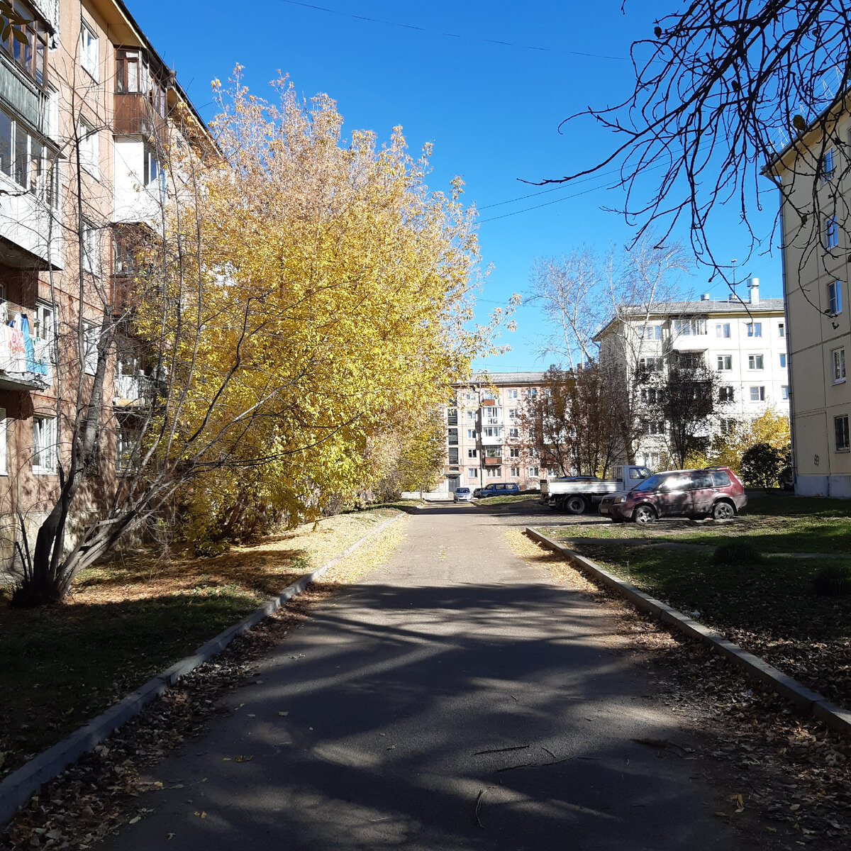 Чем депрессивная провинция лучше крупных городов. Или почему в г.Ангарске  так много красивых девушек и женщин | Инга Да | Дзен