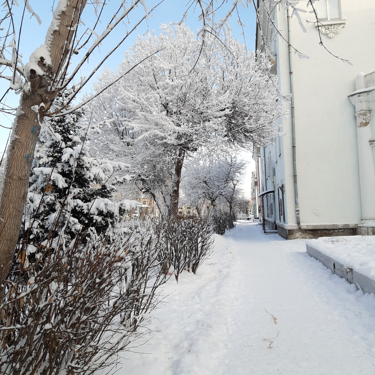 Город Томск: климат, экология, районы, экономика, криминал и достопримечательности | Не сидится