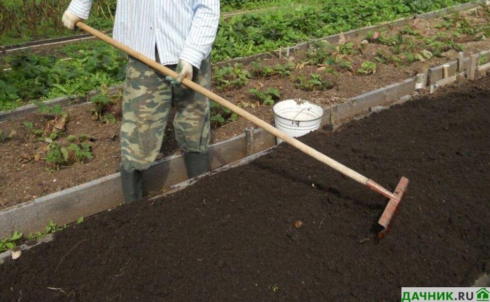 Нужно ли перекапывать землю