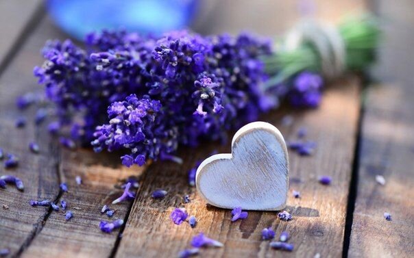 Лаванда - один из ароматов, открывающих сердце. Фото: ru.pinterest.com