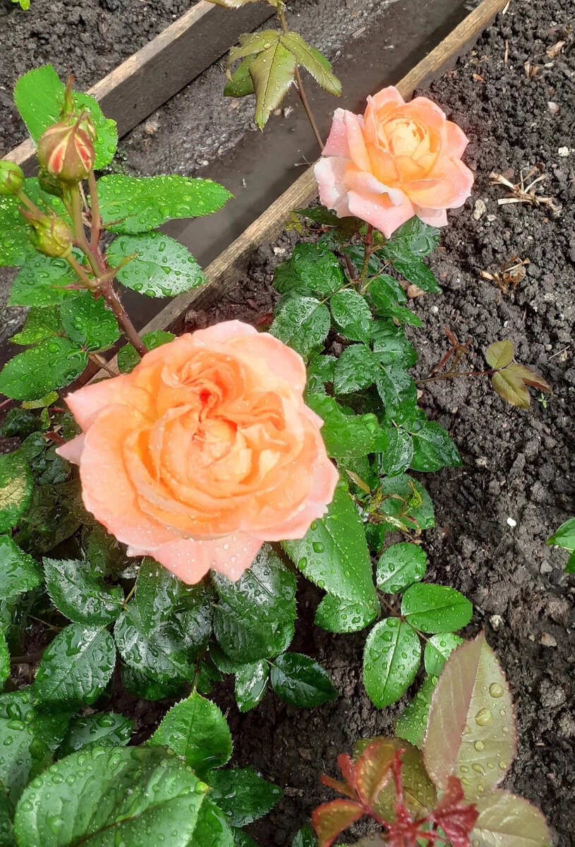 фото Вадима