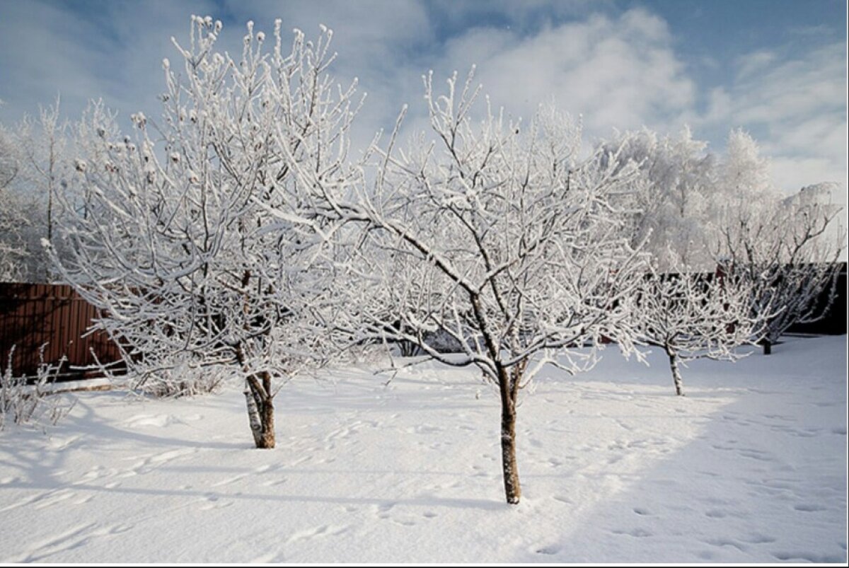 Фото из открытого источника