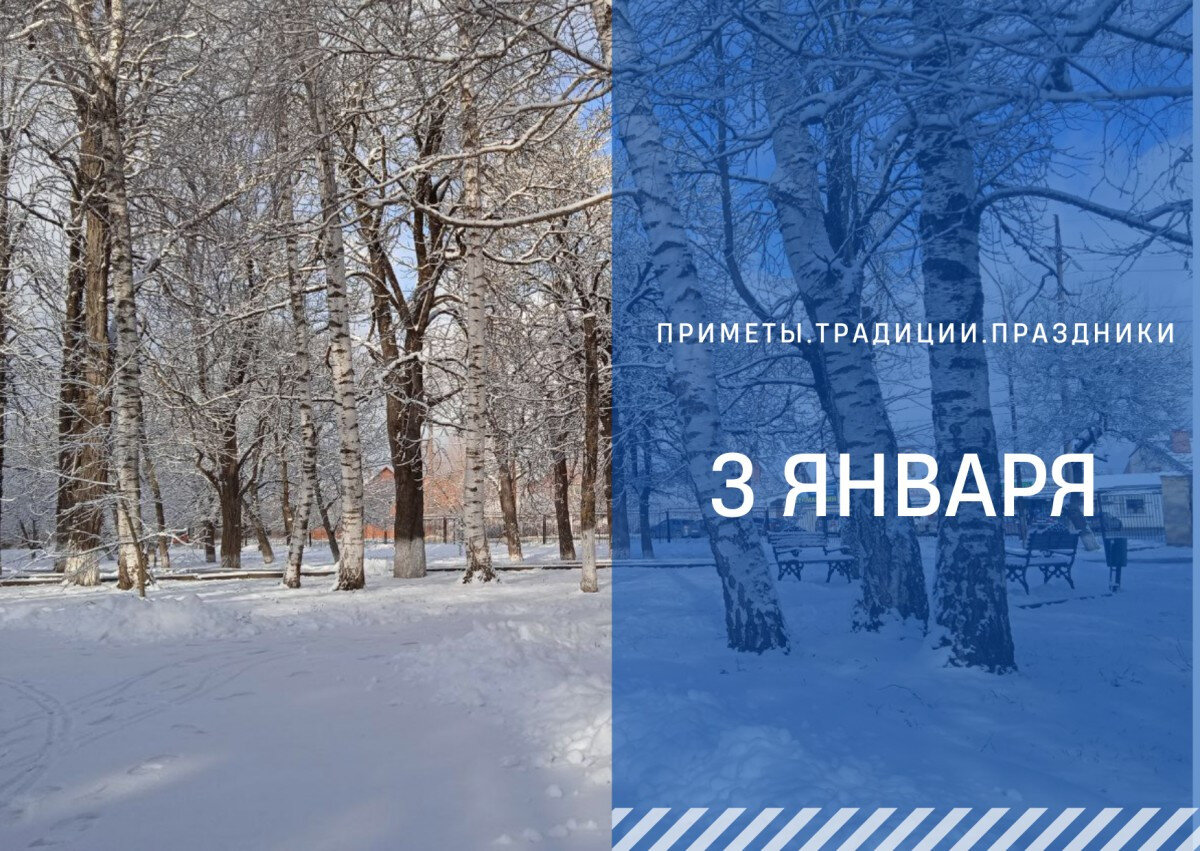 3 Января праздник. Трифонов день 28 декабря. Понедельник 3 января. 28 Декабря год кого.