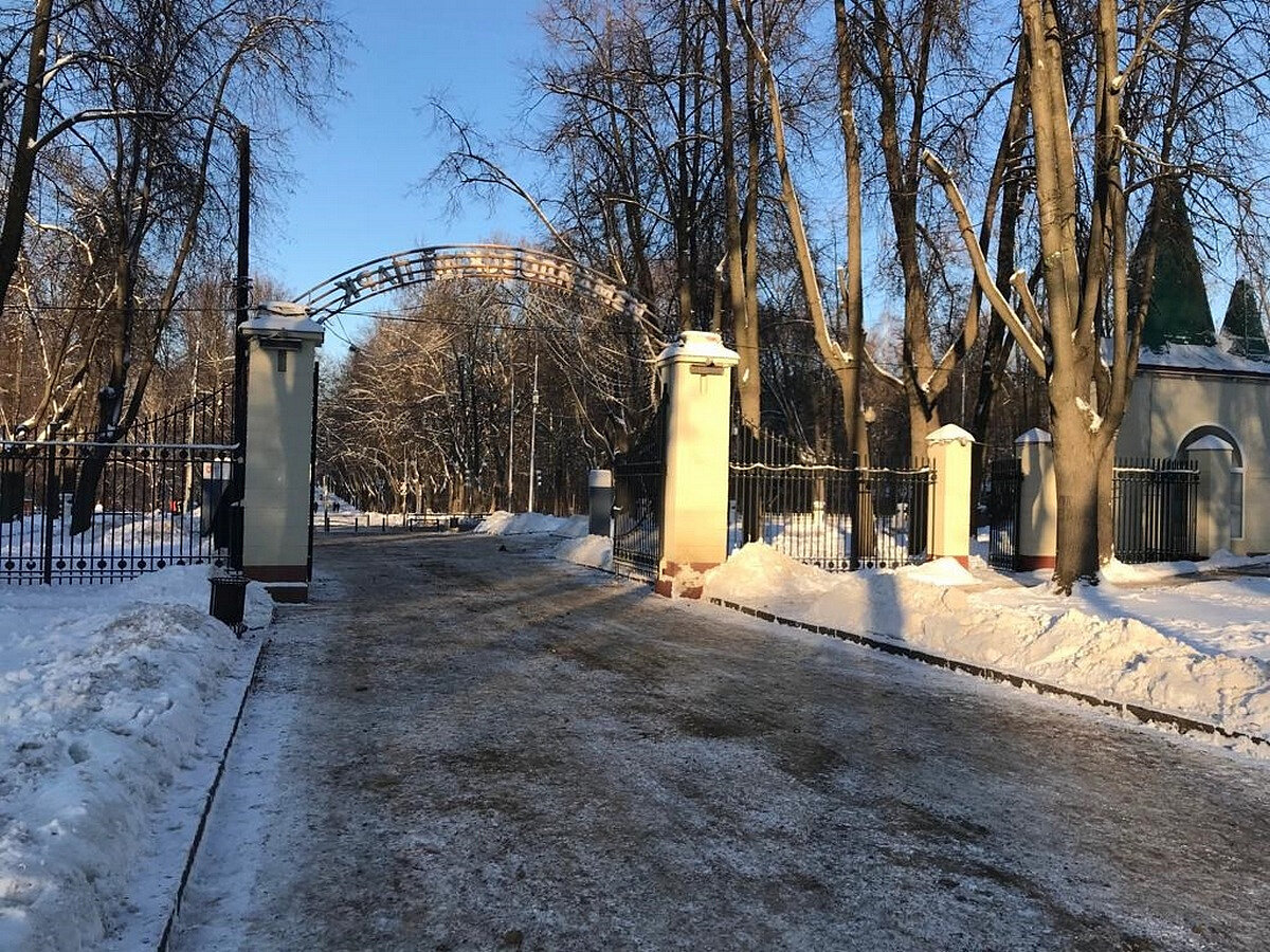 16-летений подросток погиб накануне Нового года в парке Москвы | Изнанка -  новостной портал | Дзен